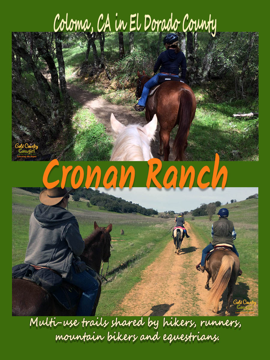 We enjoyed a day of natural beauty a camaraderie on our Cronan Ranch trail ride. Cronan Ranch is part of the 25-mile South Fork American River Trail. Coloma, CA El Dorado County