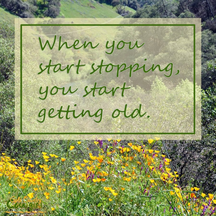 When you start stopping, you start getting old. Golden Country Cowgirl slogan and tagline.