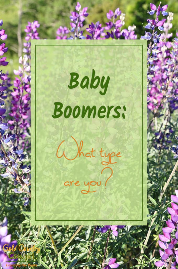 Baby Boomers: What type are you? - photo of lavendar in bloom - Baby boomers seem to fall into one of two categories. Either you have decided to live or you have decided to begin dying. Whoa, what do I mean by that?