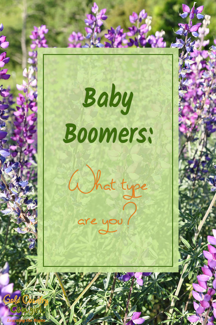 Baby Boomers title V
