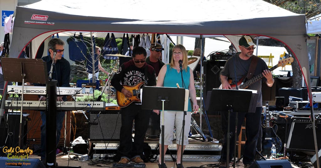 Live Entertainment at Dandelion Days