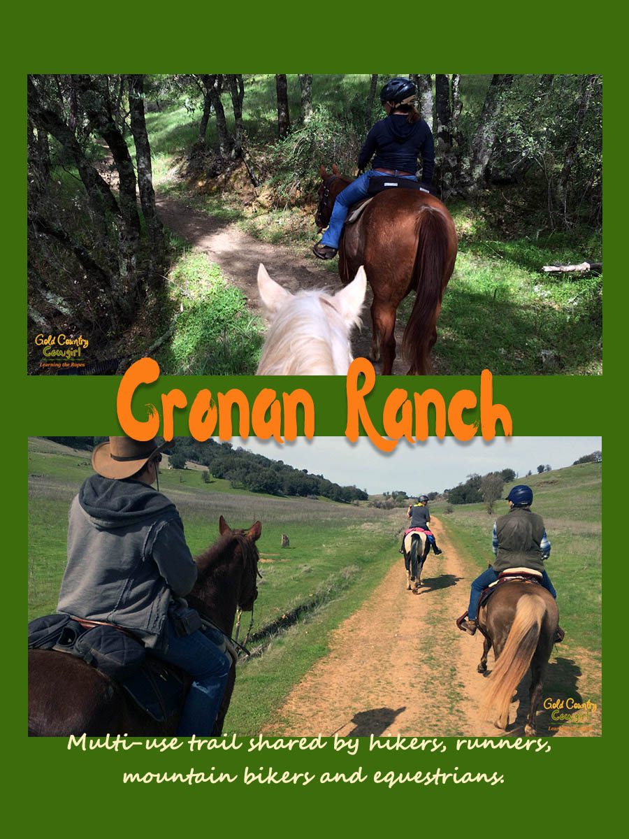 We enjoyed a day of natural beauty a camaraderie on our Cronan Ranch trail ride. Cronan Ranch is part of the 25-mile South Fork American River Trail.