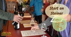 Start on Steiner is an association of nine wineries located on Steiner Road in the Shenandoah Valley. The group holds three annual Start on Steiner events.