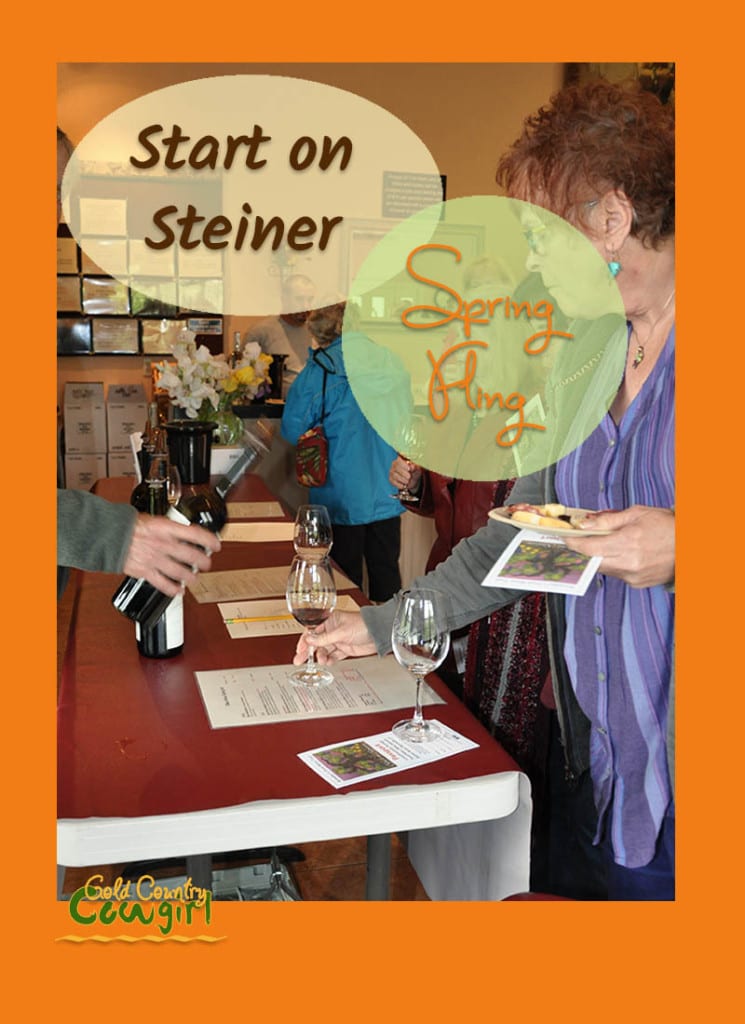 Start on Steiner is an association of nine wineries located on Steiner Road in the Shenandoah Valley. The group holds three annual Start on Steiner events.