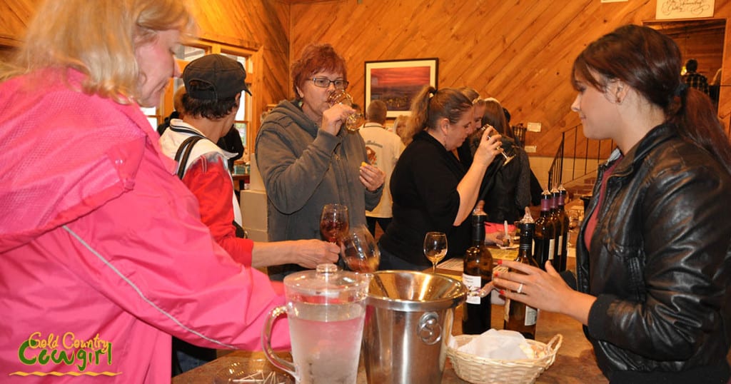 Start on Steiner wine tasting at Shenandoah