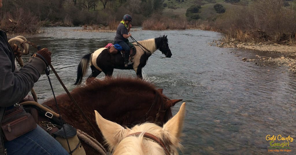 back in the water