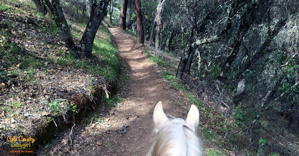 shaded single track trail on our Cronan Ranch trail ride