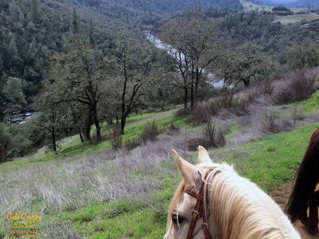 we had some fabulous views of the South Fork of the Amercan River on our Cronan Ranch trail ride