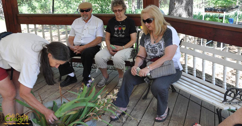 Bluebird Haven Iris Garden selecting bulbs