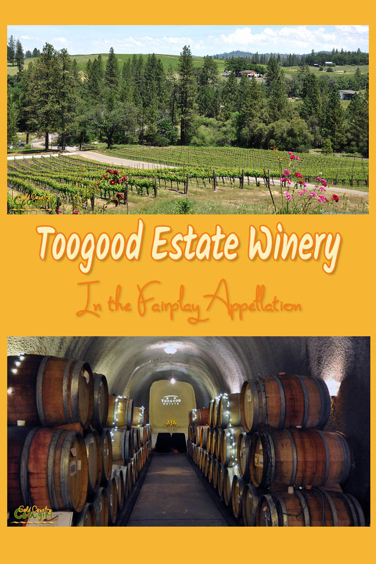 Toogood Estate Winery V BG