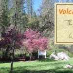 Volcano, CA is an amazing little town in the Sierra Foothills. It is a living history lesson and is the perfect place for a walking tour.