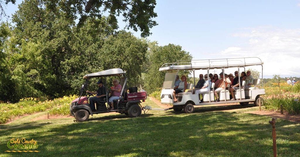 tram touring flower farm