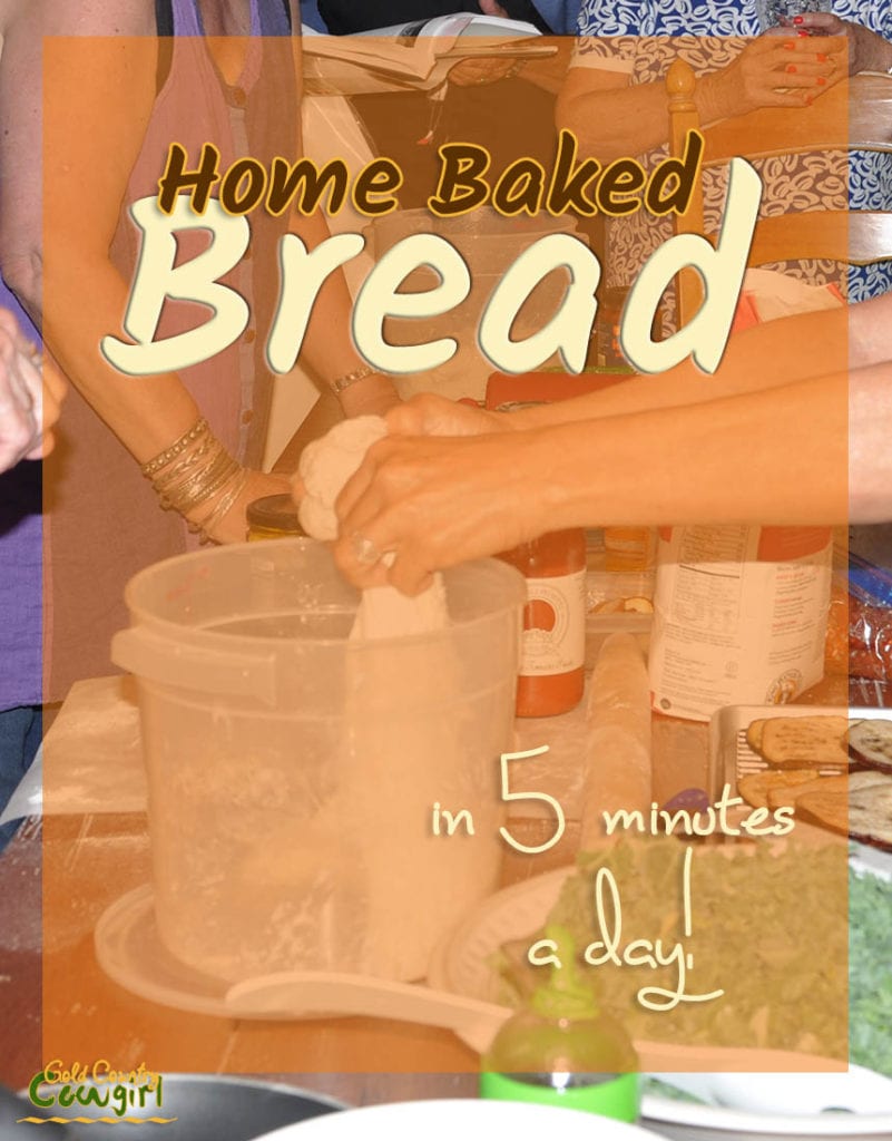 I love home baked bread but I don't like the kneading part. Can you believe you can make bread in 5 minutes a day without kneading?