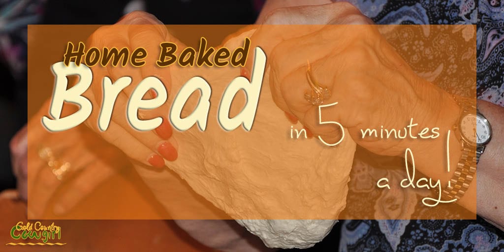 I love home baked bread but I don't like the kneading part. Can you believe you can make bread in 5 minutes a day without kneading?
