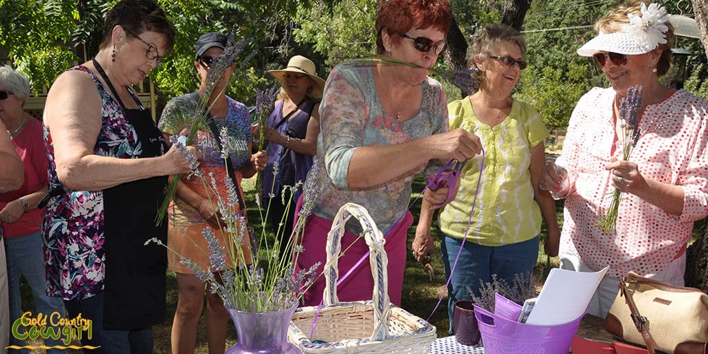 Cutting the ribbon for our lavender wands