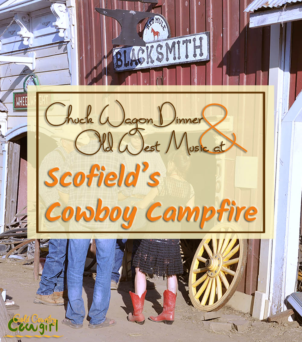 Scofield’s Cowboy Campfire title v