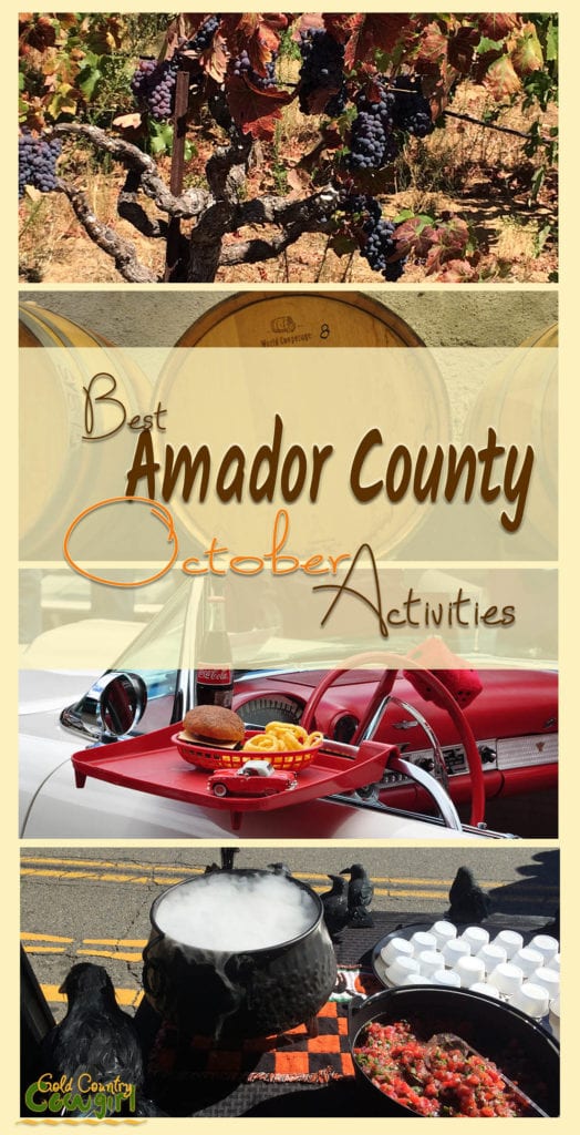 With summer activities winding down, there is still so much to do that it is hard to choose. Here's my list of best Amador County October Activities.