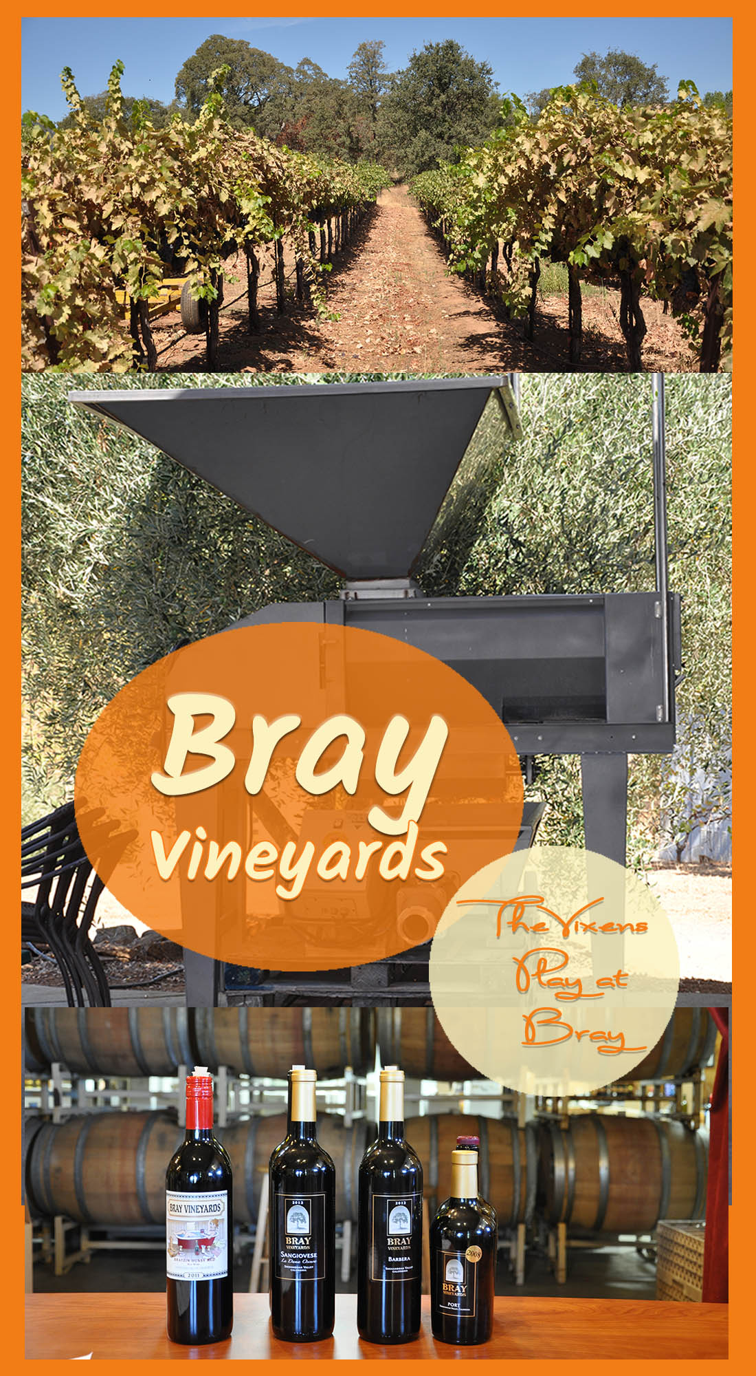 bray-vineyards-title-v