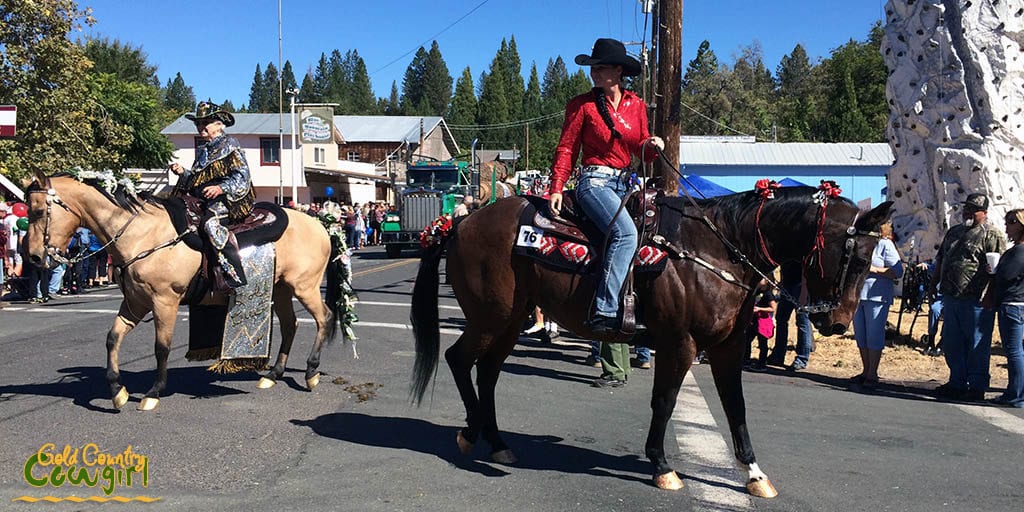 Horses in Lumberjack day parade