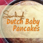 Instead of throwing out your sourdough starter when you feed it, try these moist, creamy Dutch baby pancakes. They are great for any meal and dessert!