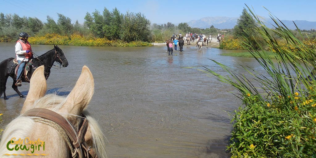 Horses at Hidden Valley, Norco, CA