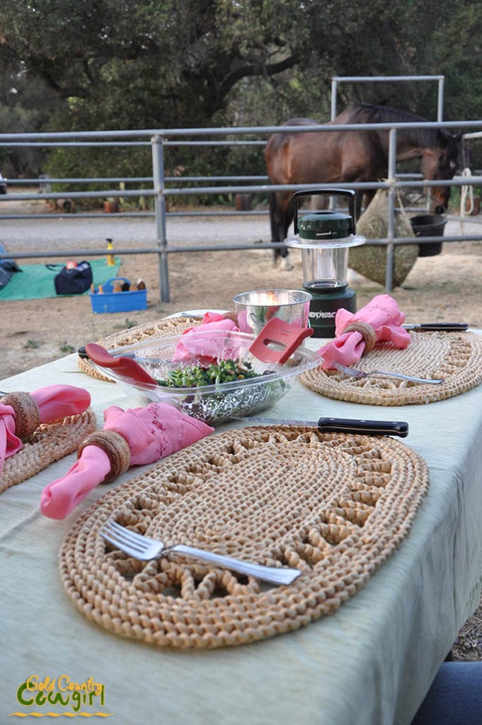 Beautiful table setting - Horse camping, O'Neill Regional Park, Orange County, CA