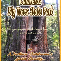 Sequoias title v2