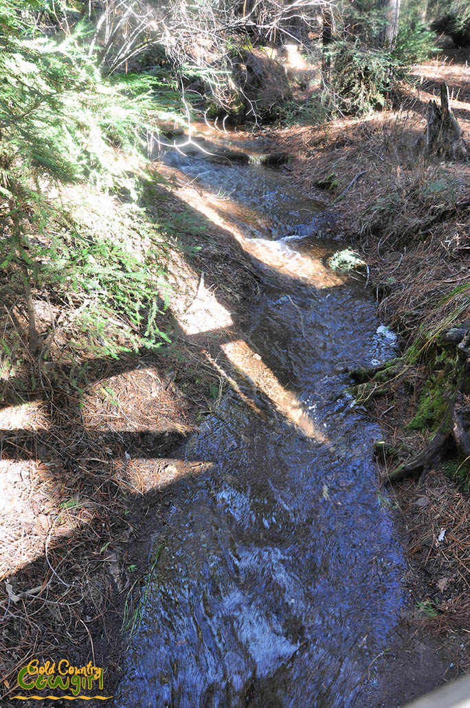 View of the stream