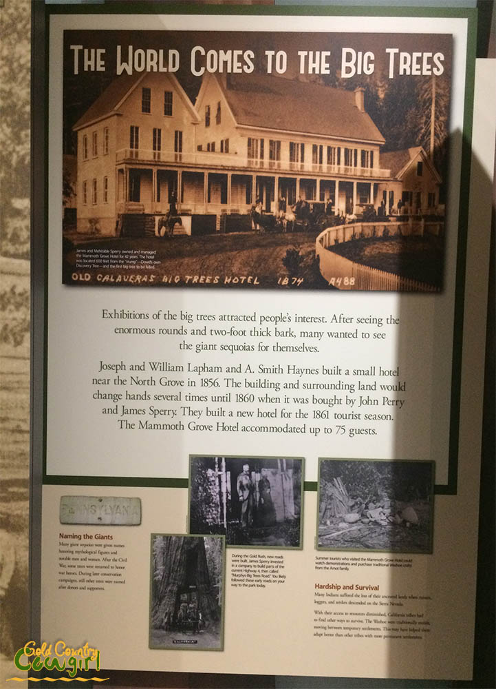 poster in visitor center at Calaveras Big Trees State Park