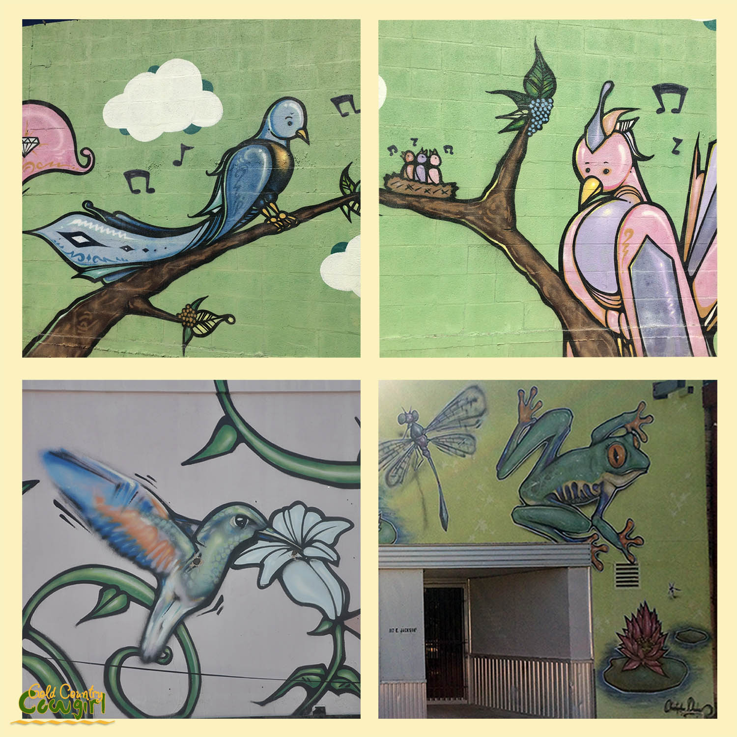Sq sample of 4 murals of downtown Harlingen