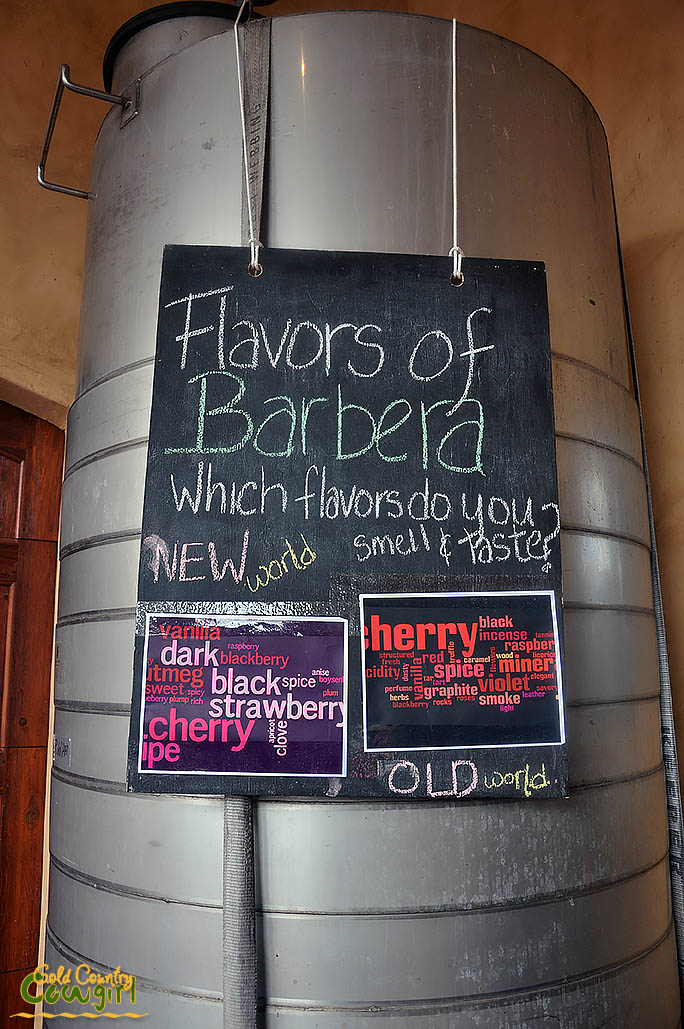 Flavors of Barbera