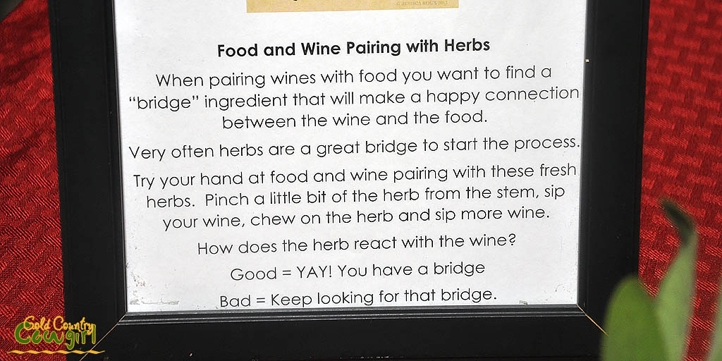Food and wine pairing with herbs
