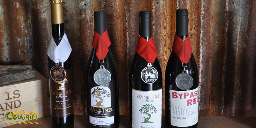 Some of the award winning wines at Wine Tree Farm