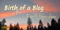One year ago today I published my first post on Gold Country Cowgirl. I was not new to blogging. It just took a while to find my blogging passion.