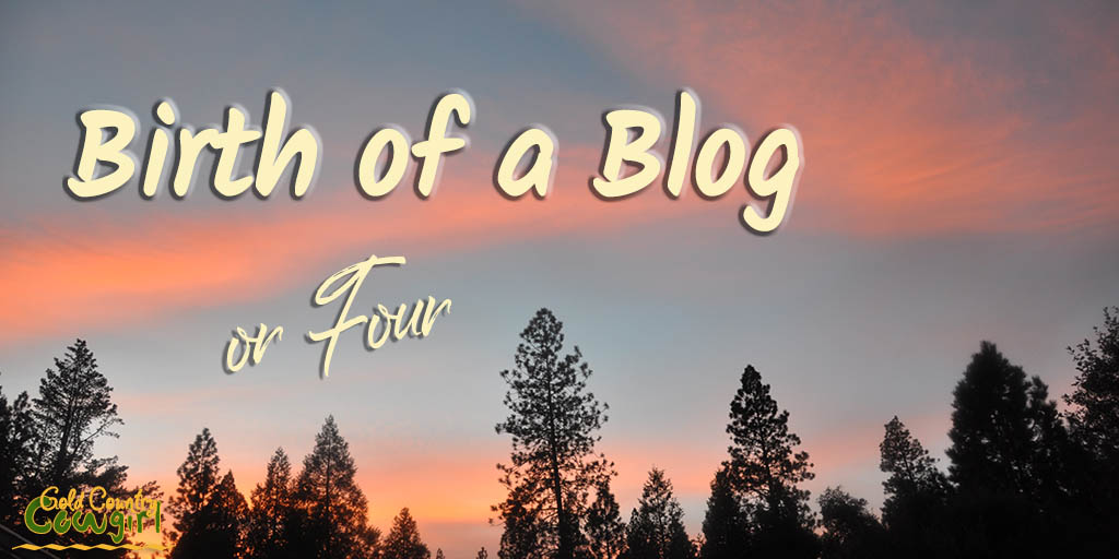 Birth of a Blog title graphic h