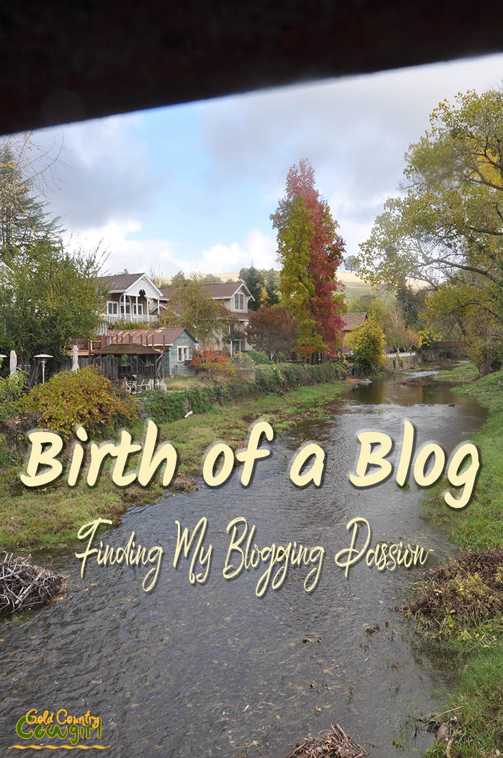 Birth of a Blog title graphic v