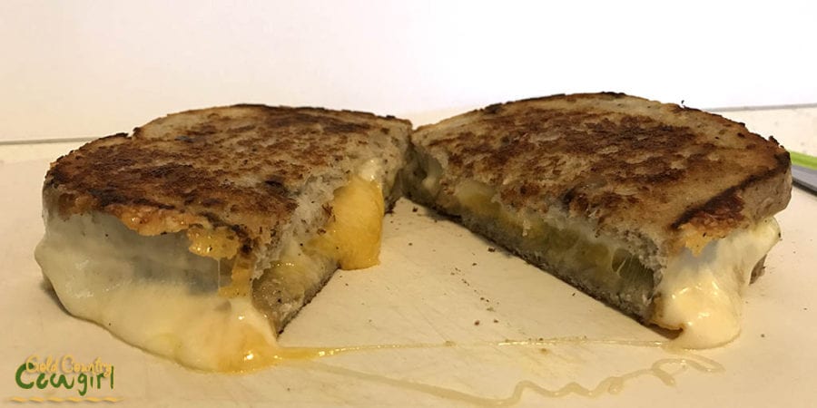 Ultimate grilled cheese cut