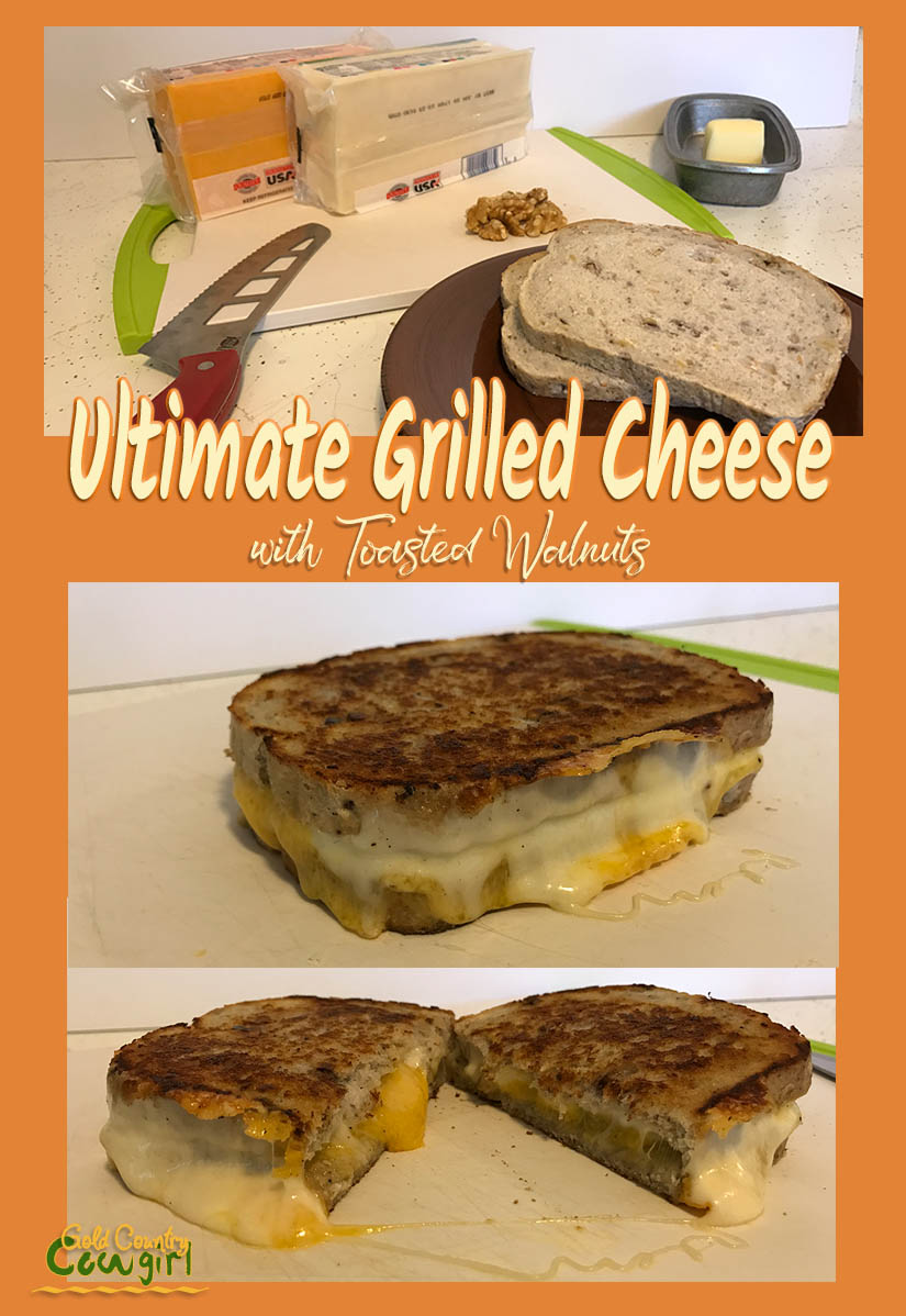 Grilled cheese title graphic v2