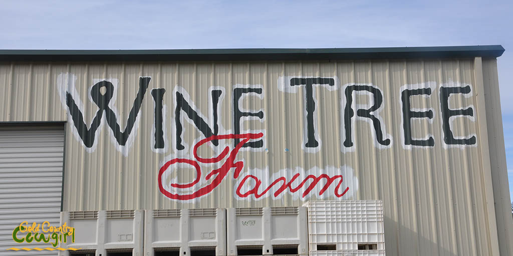 Wine Tree Farm sign