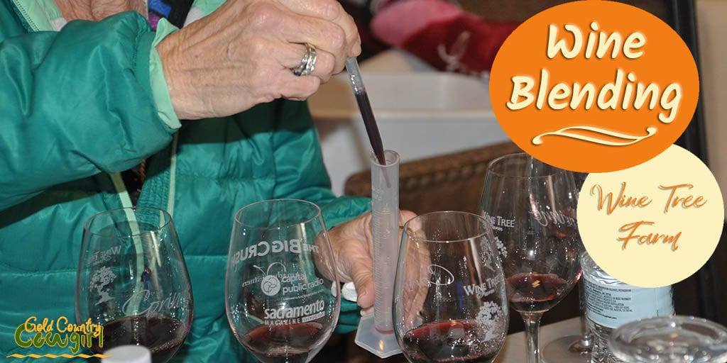 The wine blending class at Wine Tree Farm is educational and thoroughly enjoyable. It was a blast and I highly recommend it. 