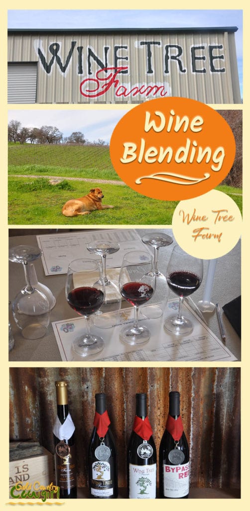 four photos from Wine Tree Farm of sign, vineyard, wine blending class and bottles with medals