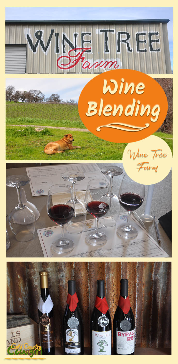 Wine blending title graphic v