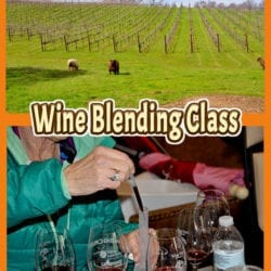 Wine blending title graphic v3