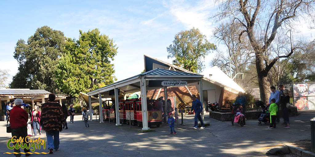 Zoo Train Depot