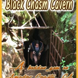 Black Chasm title graphic v2