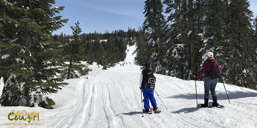 This is actually the snowmobile trail which is a gradual incline