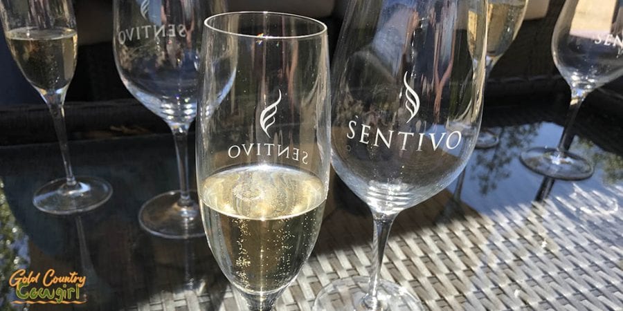 Sentivo Vineyards glasses