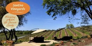 If you want to be treated like family when you go wine tasting then Sentivo Vineyards is where you want to be. Beautiful location, great wine and food.