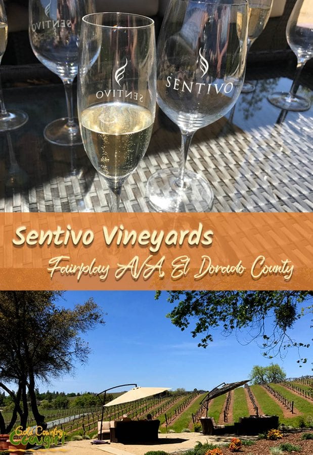 If you want to be treated like family when you go wine tasting then Sentivo Vineyards is where you want to be. Beautiful location, great wine and food.