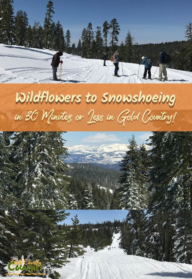 I tried snowshoeing for the first time this week. I love that I can go from wildflowers to snowshoeing in 30 minutes or less in Gold Country. Check it out.